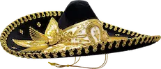 Sombrero de mariachi de gala